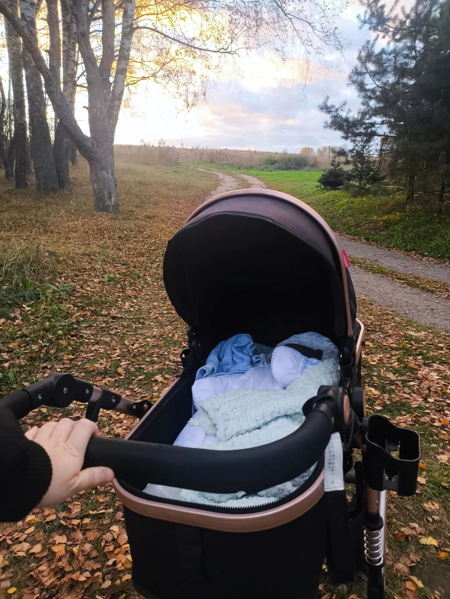 Доброе утро 🤍🍁