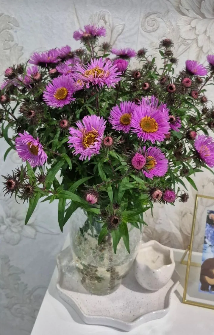 Муж нарвал цветов прямо с моей клумбы🌸 Но я всё равно очень рада!