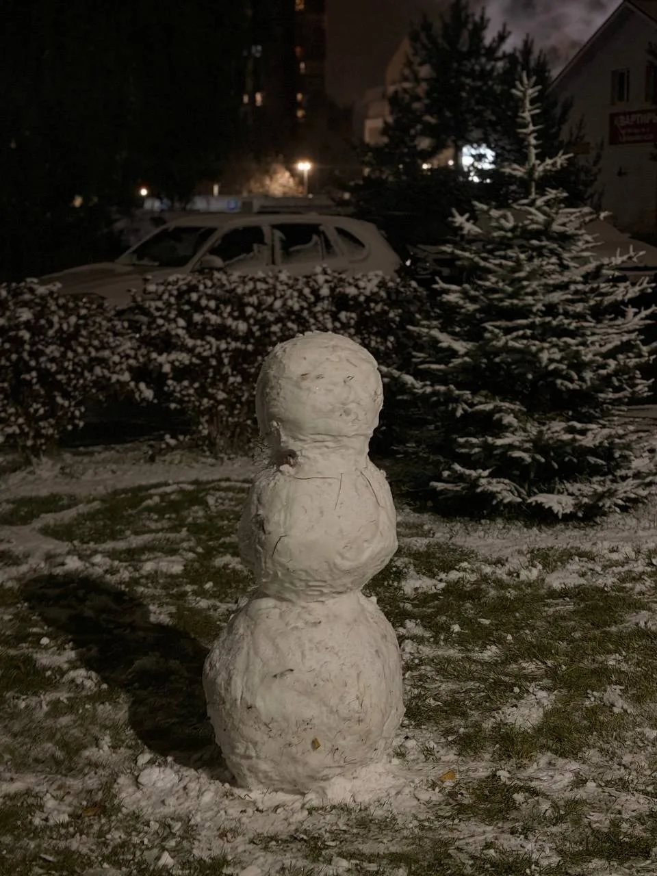 ☃️С первым снеговиком