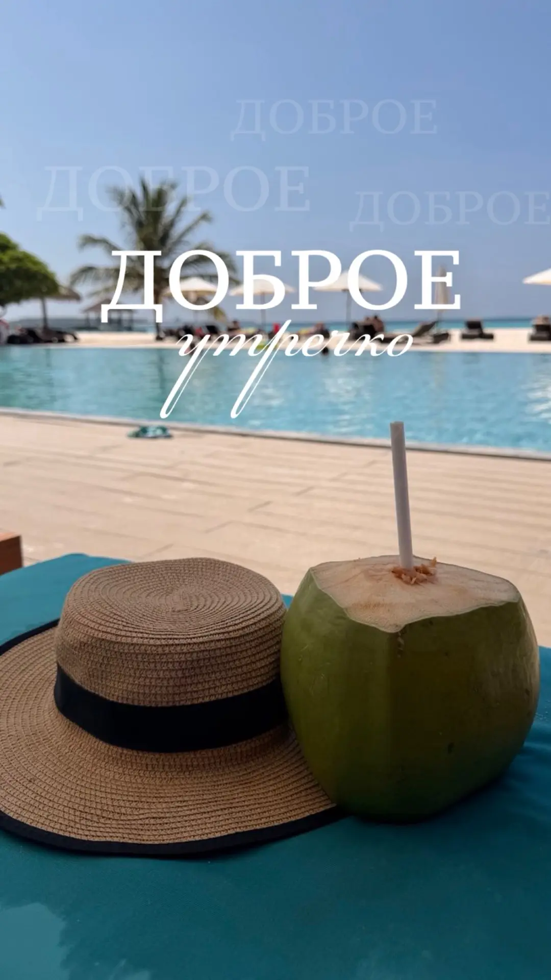 ☀️ ДОБРОЕ УТРО, ДРУЗЬЯ! СРЕДА — САМОЕ ВРЕМЯ ПЛАНИРОВАТЬ ПРИКЛЮЧЕНИЯ! 💙