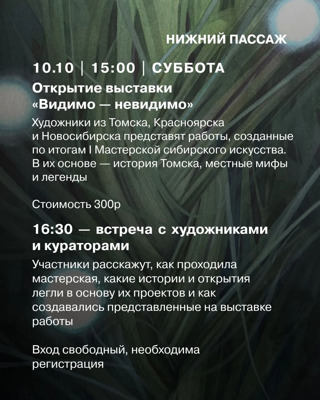 В ТЦСК откроется выставка «Видимо – невидимо», подготовленная по итогам I Мастерской си...