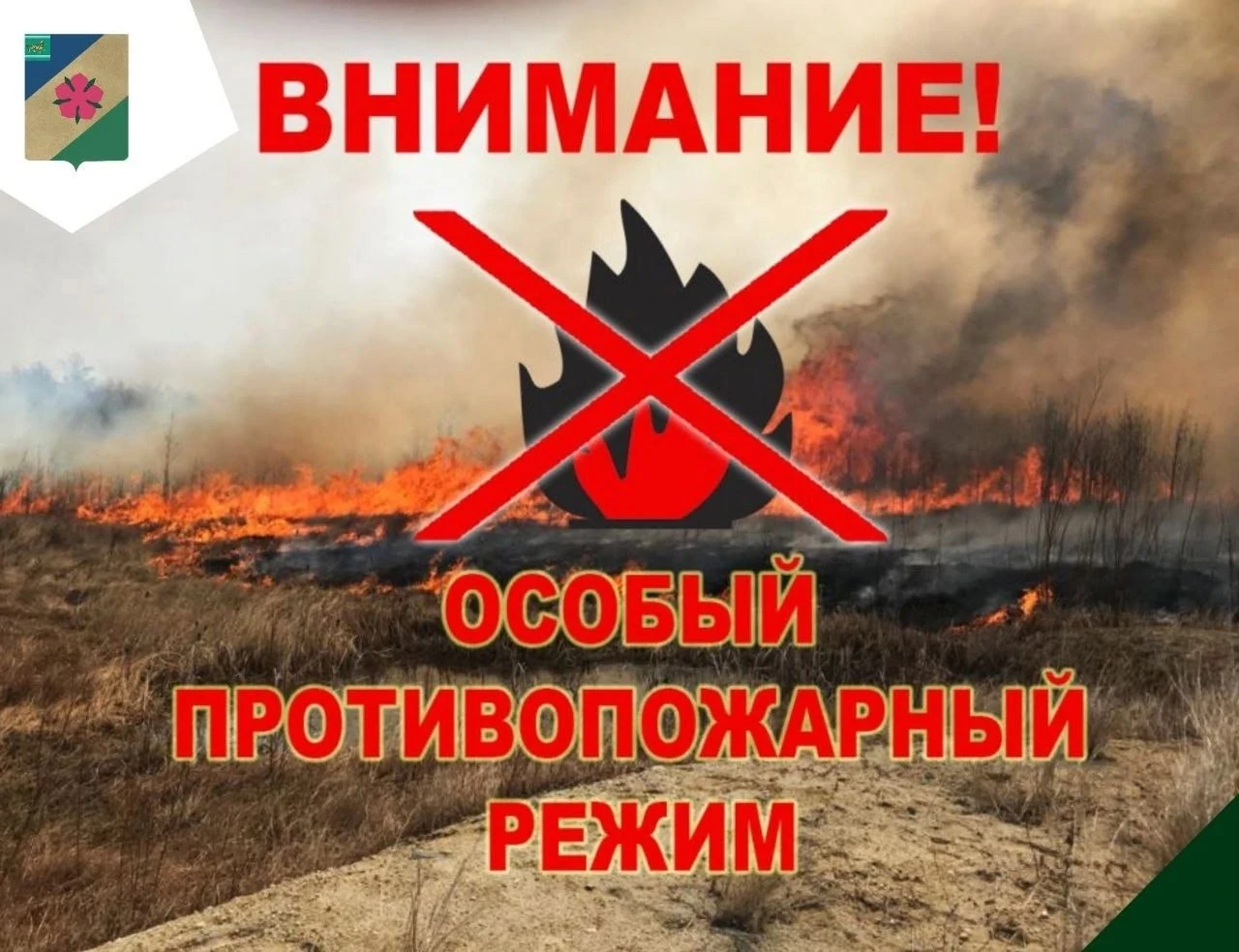 Шашлыки под запретом: в ЕАО введен особый противопожарный режим