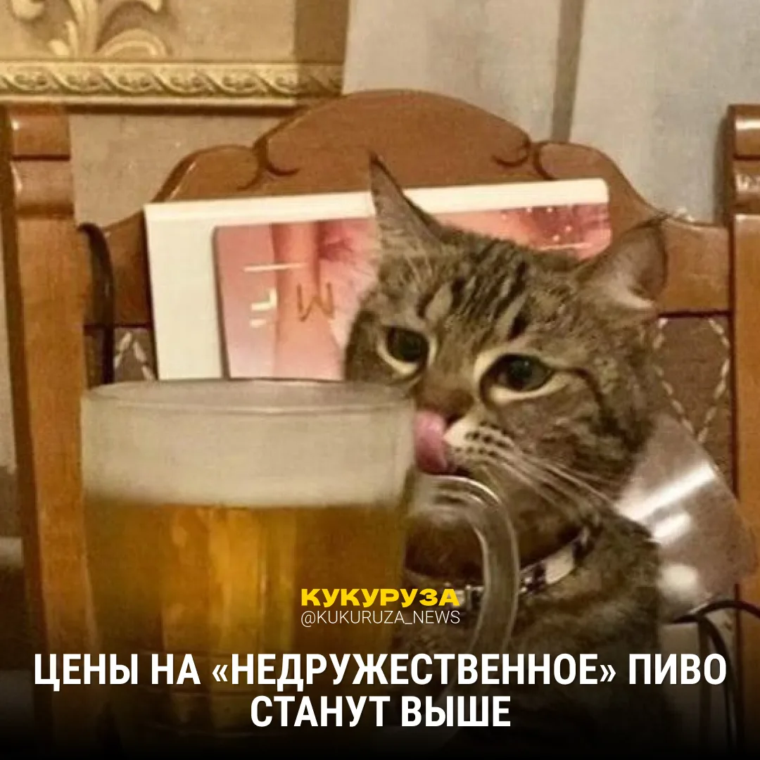 🍺 Импортное пиво может подорожать до 500 рублей