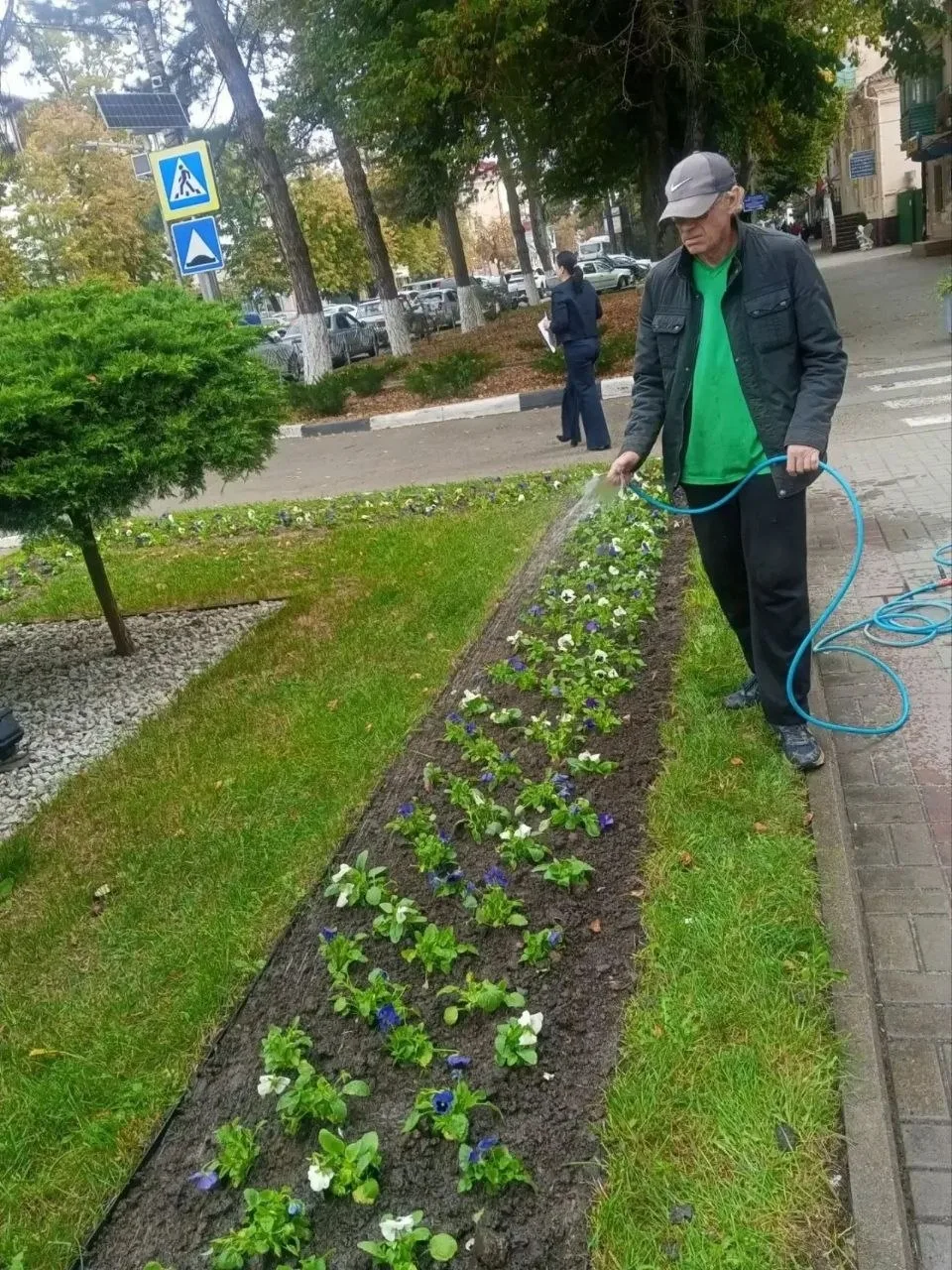 Озеленители каждый день ухаживают за городскими клумбами: поливают, подрезают, убирают ...