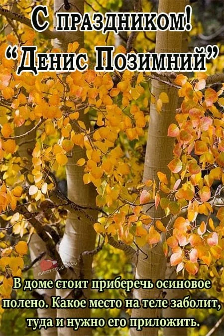 🍂🍁Денис Позимний: время утеплять дома и беречься от «лихорадок».