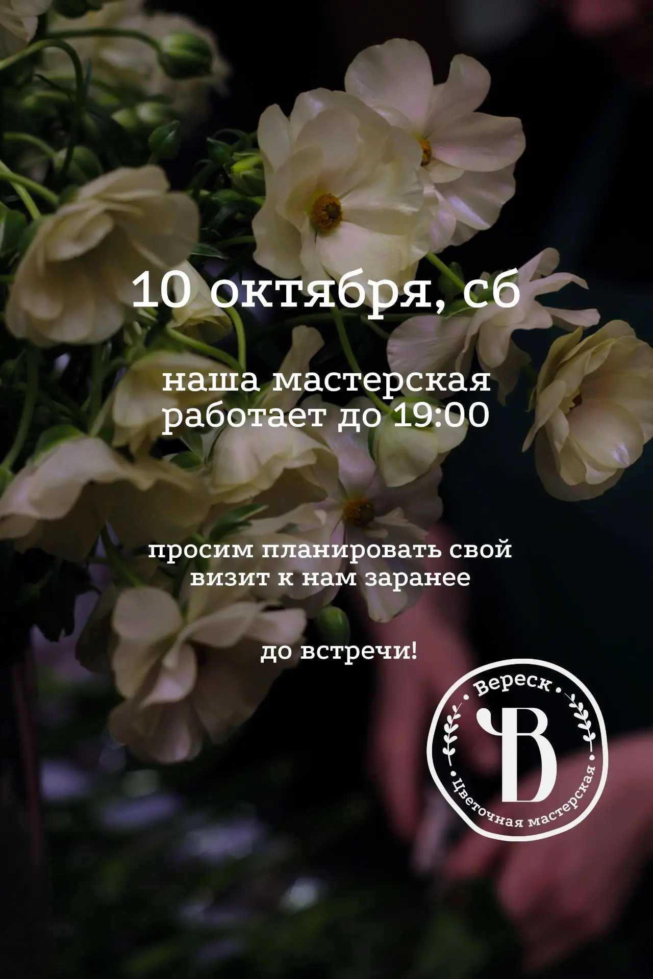Дорогие друзья,