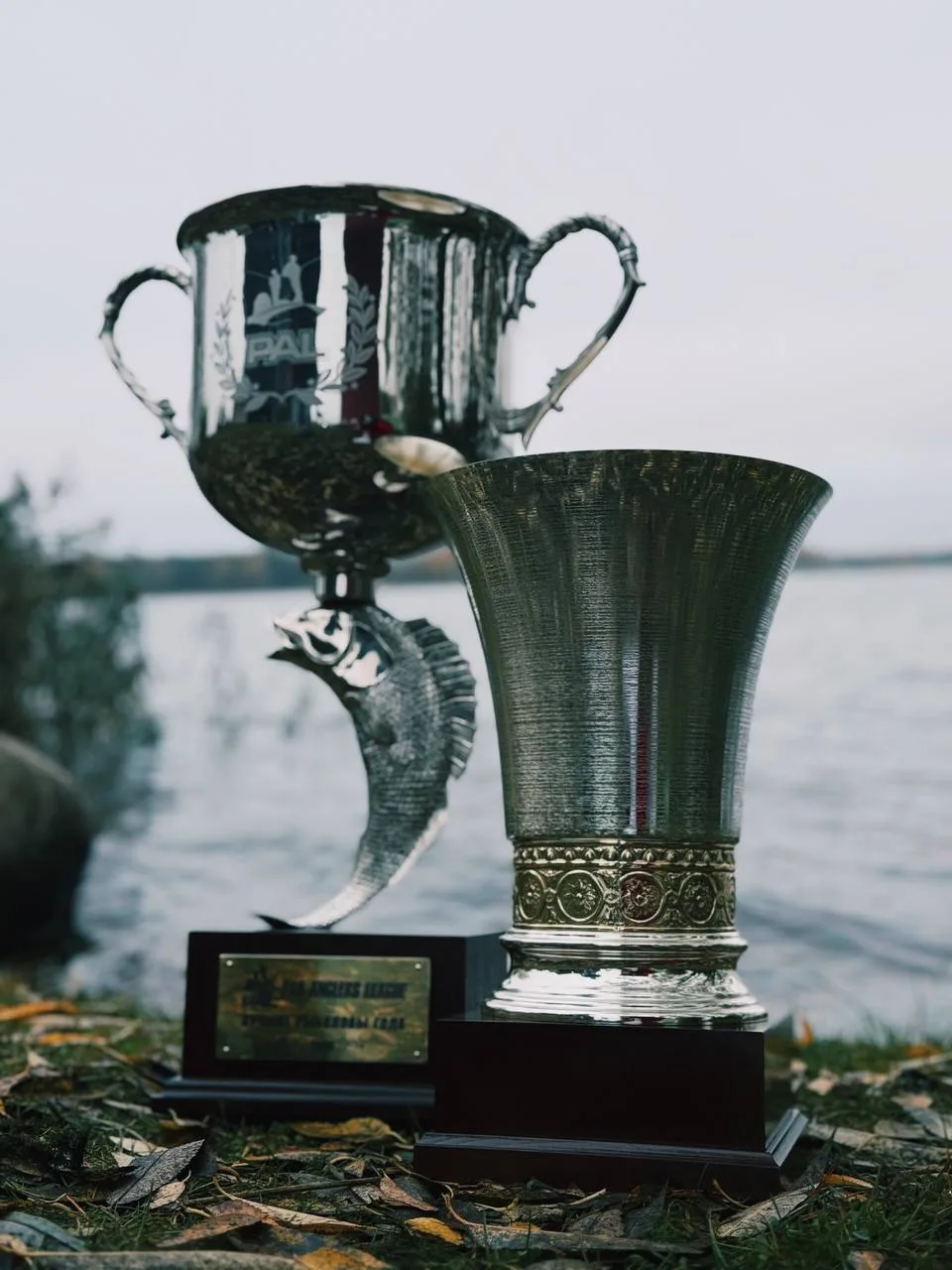 🏆Друзья, в 18:00 по Московскому времени мы начинаем церемонию награждения победителей ...