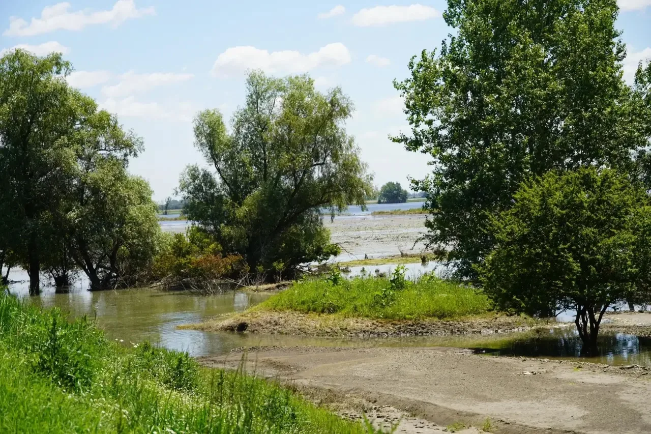 Приехал сегодня в Крымский район. Обильные осадки спровоцировали подъем реки выше крити...