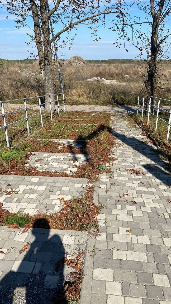 ⚡️Жители интересуются состоянием пешеходной дорожки вдоль аэродрома на Суворовском шоссе