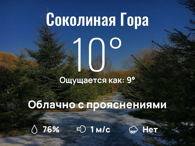 Что с погодой в районе Соколиной Горы?