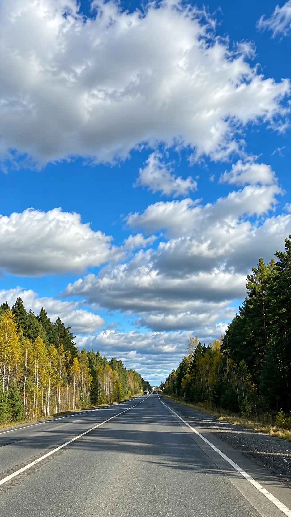 Всем хорошего дня 🍂