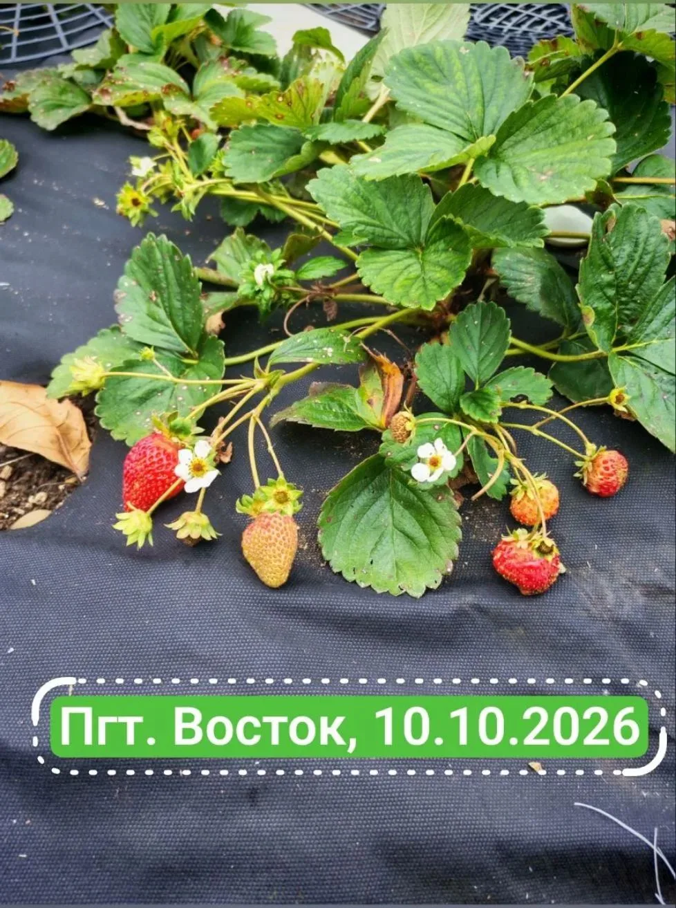 Еще вам осенних красок от подписчиков 🍂 📸