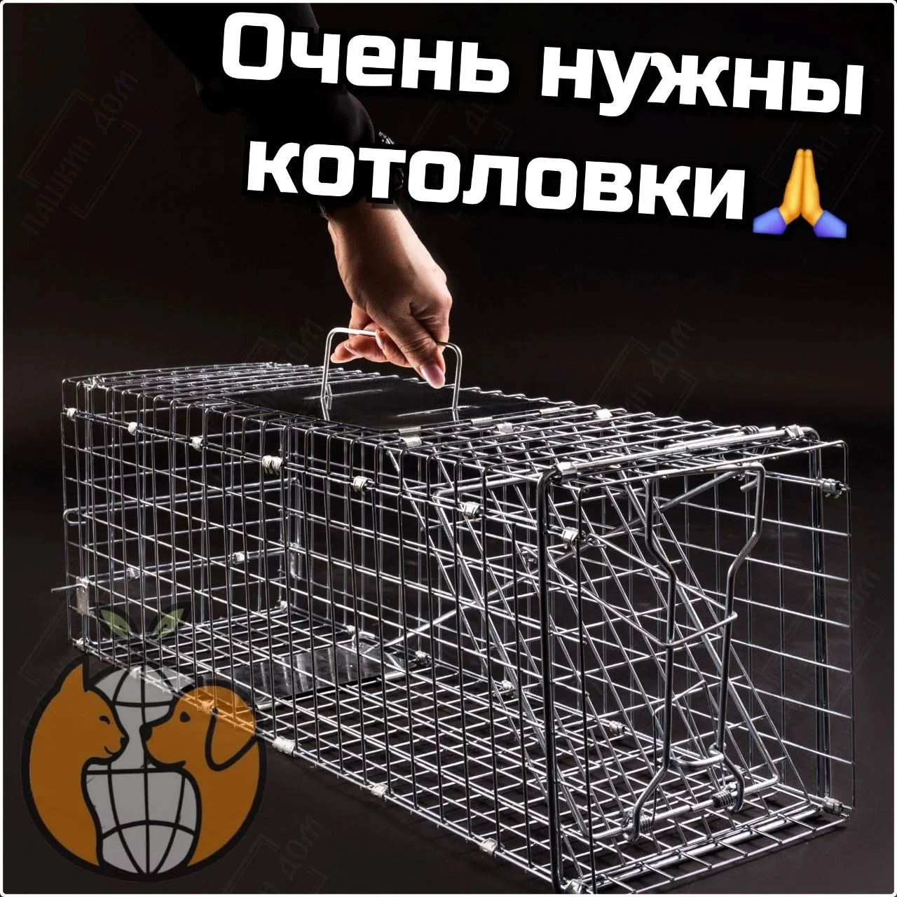 ❗Друзья-киперы, для помощи и спасения 🐈🐈🐈 очень нужны котоловки. Сейчас объяснимо за...