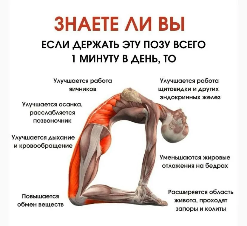 Польза прогибов в йоге (коротко)Читай 🧐
