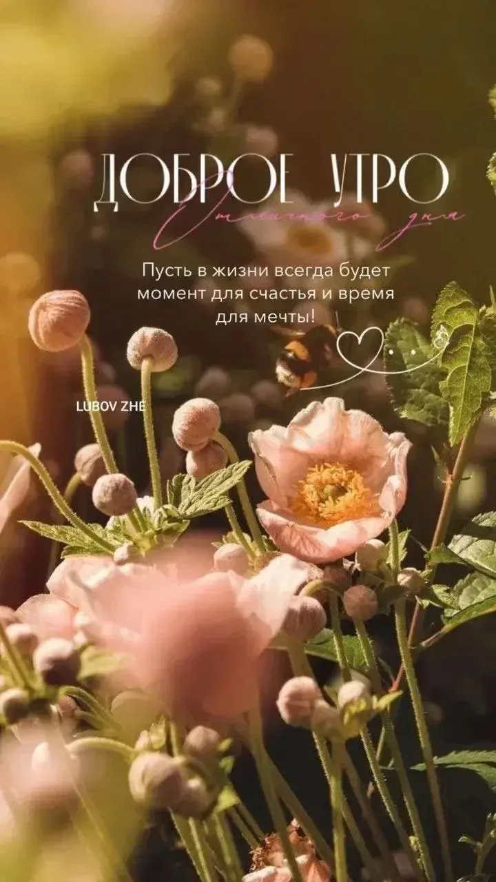 💐ЖИВАЯ СКАЗКА 💐