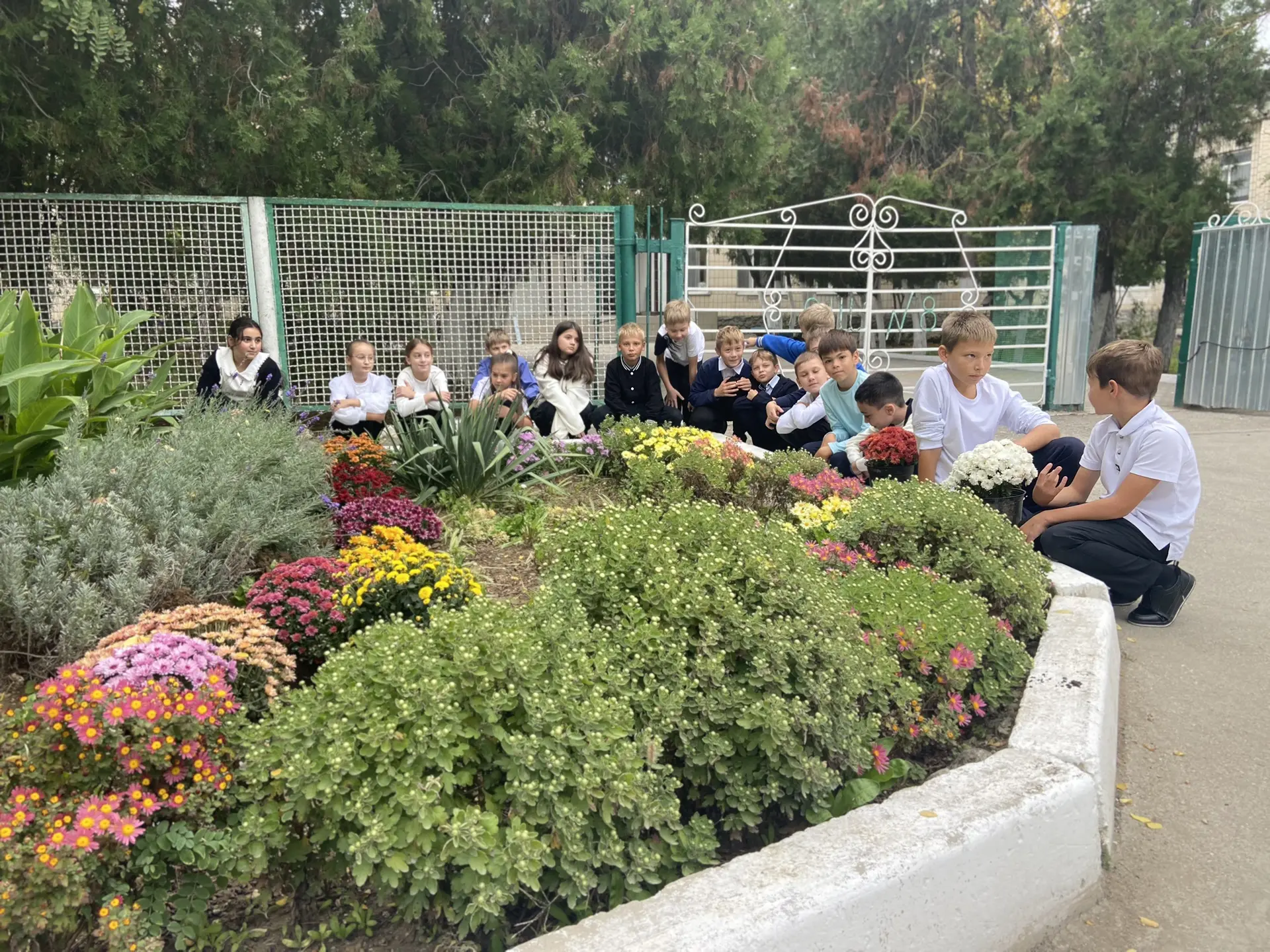 🌼 Бал хризантем в школе №8 🌼