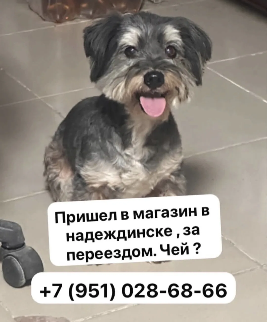 Пришел в магазин в Надеждинске ,за переездом. Чей ?