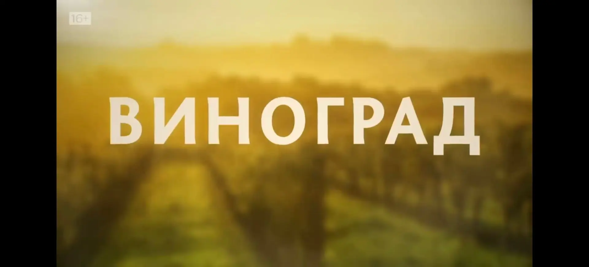Смотрю под вязание🤗 Прилучный, конечно, засранец, но харизматичный мужчина😋 А ещё пря...