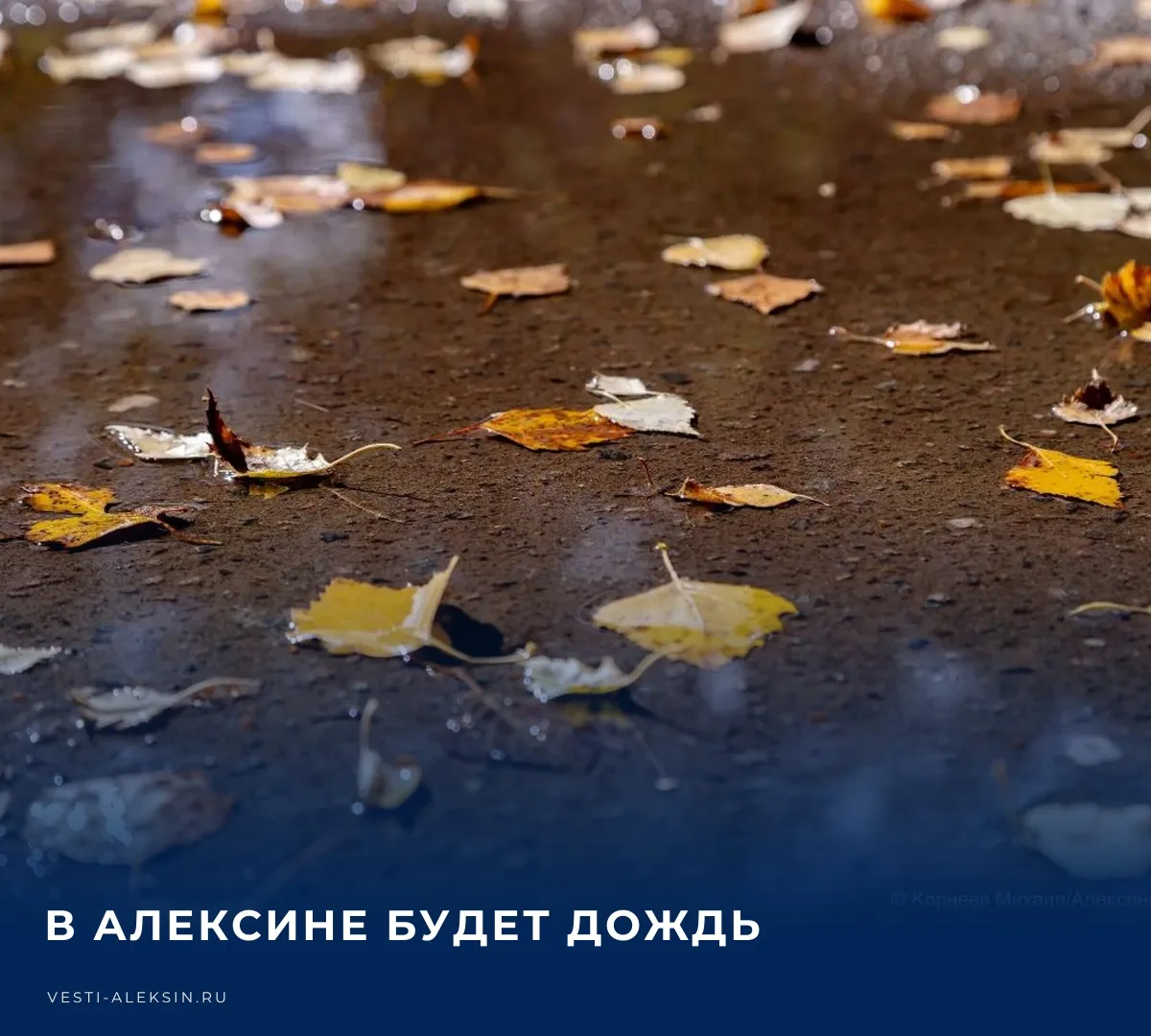 🌧️ В Алексине и рабочем поселке Новогуровский будет пасмурно, ожидается дождь. Темпера...