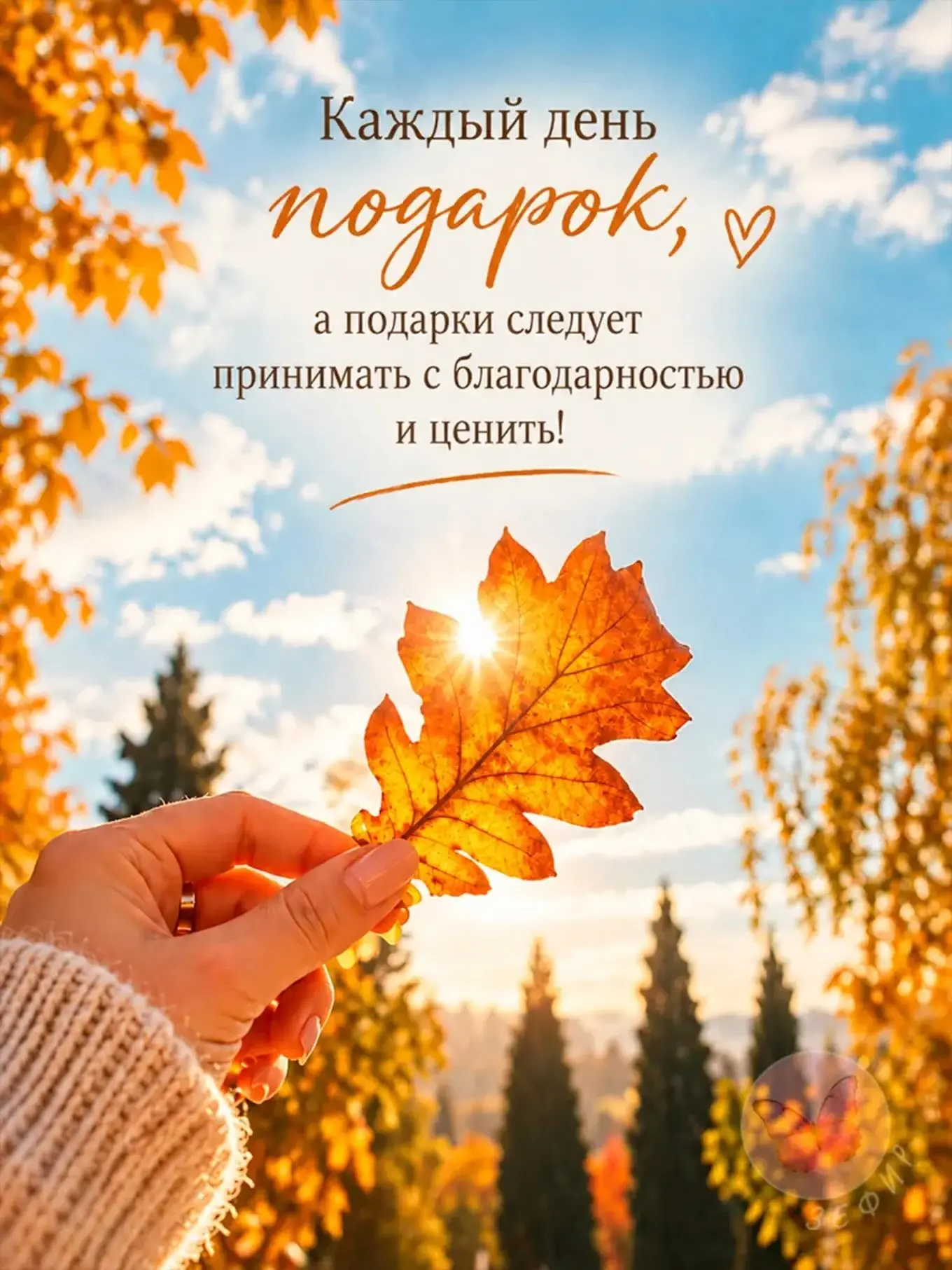 Доброго утра всем!