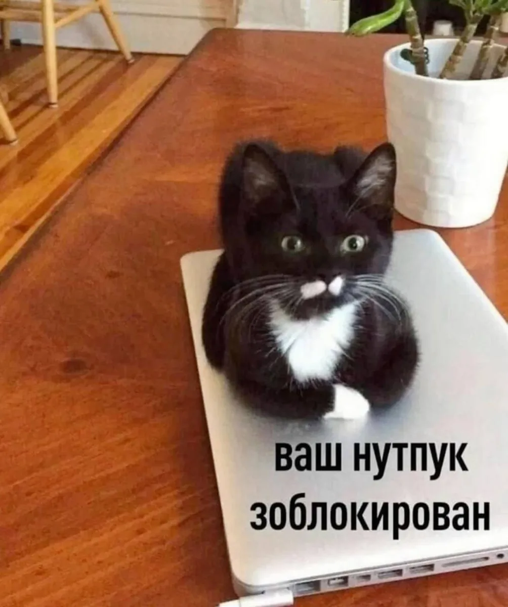 Желаем каждому однажды прийти на работу и обнаружить такое на своем рабочем месте