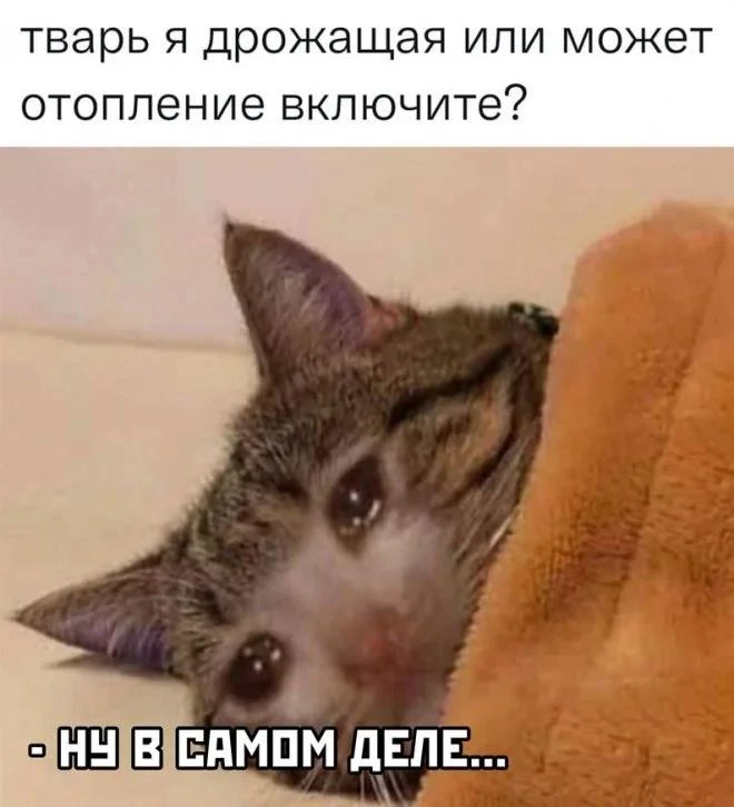 Челябинцы продолжают жаловаться на холод в квартирах и вузах