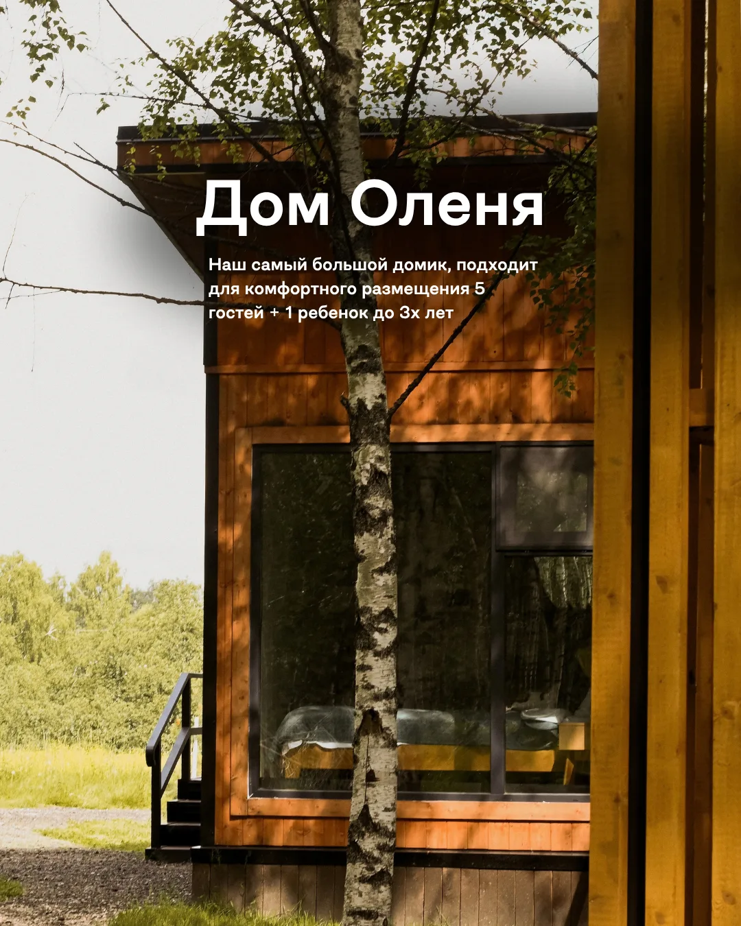 Уютные домики прямо в лесу Подмосковья. Идеальное место для отдыха на природе без отрыв...