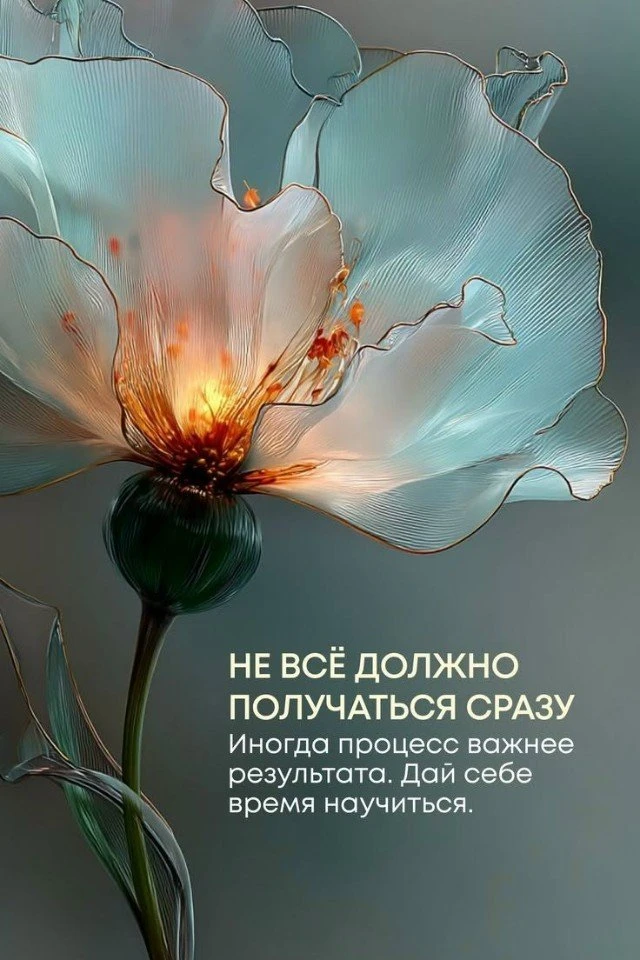 Дай себе время