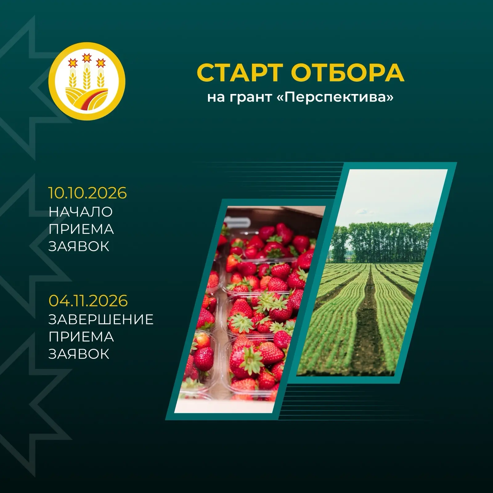 🌾 150 миллионов на мечту! Грант «Перспектива» — 2026 открыт для заявок.