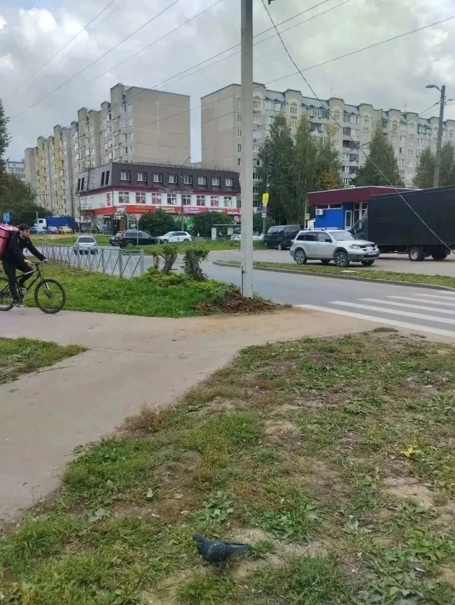 Во Владимире после вмешательства прокуратуры осветили пешеходный переход на Безыменского