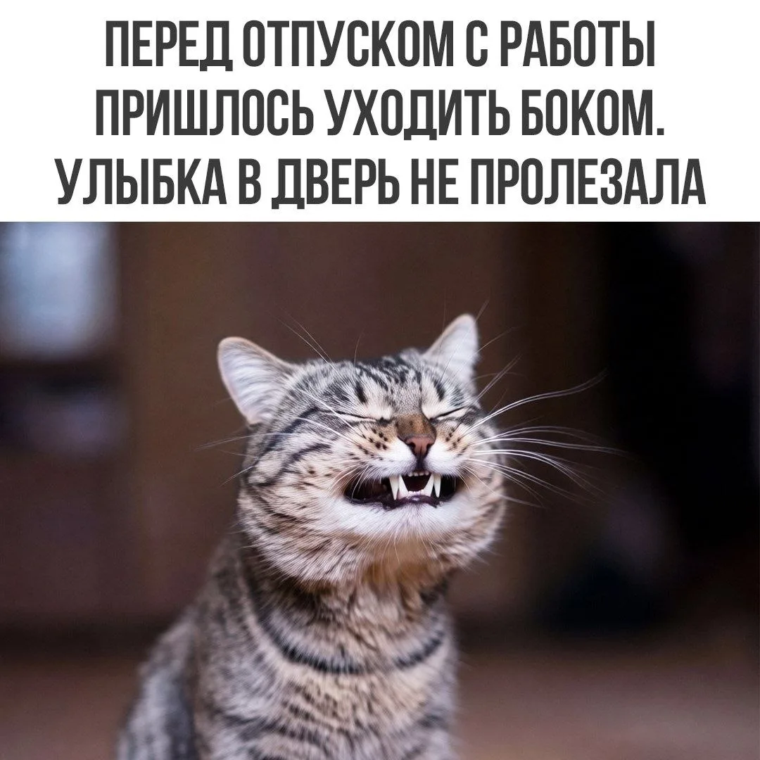 Женский юмор - Подписаться
