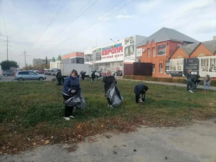 Тамбовчане отметили День ударного труда большой уборкой