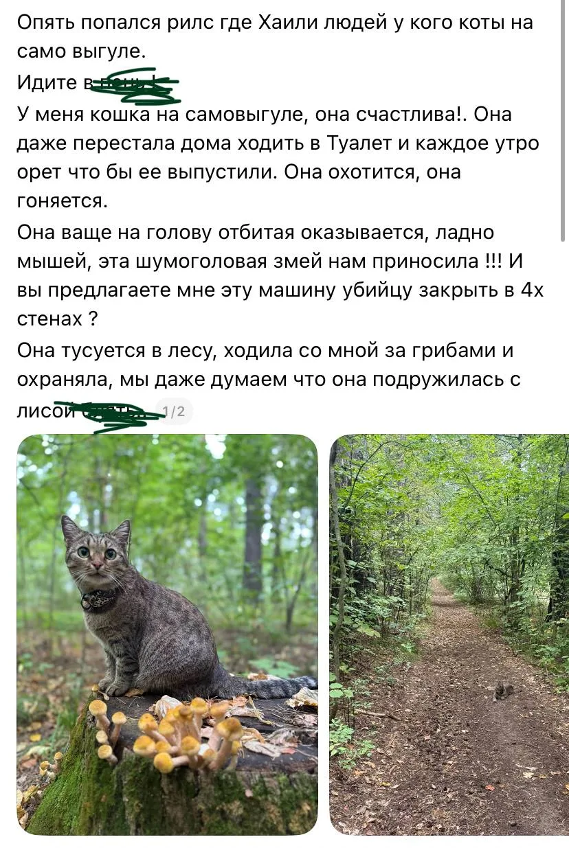 Просто хотим напомнить, что самовыгул не только запрещён на законодательном уровне, но ...