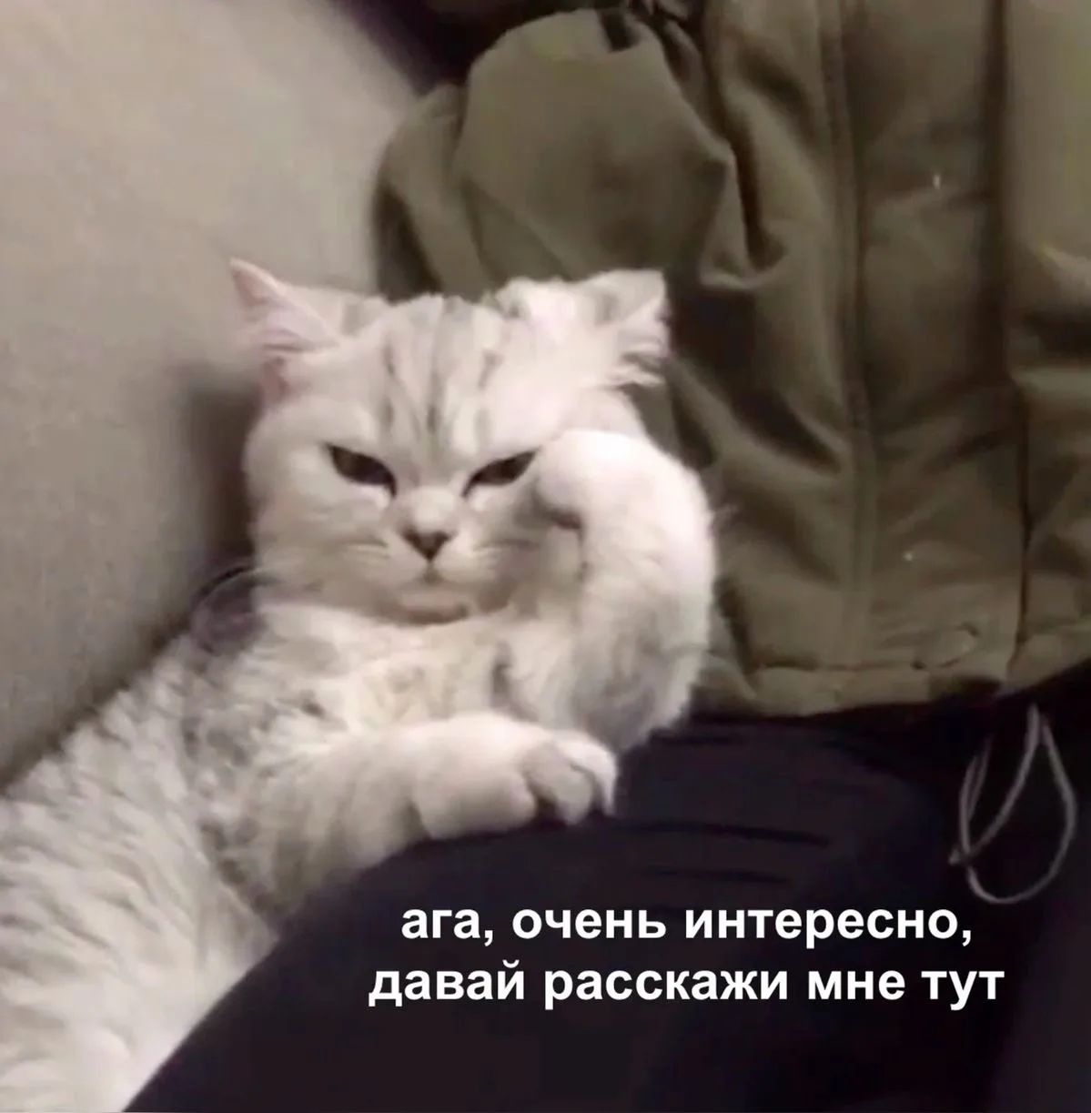 #мыслиавтора