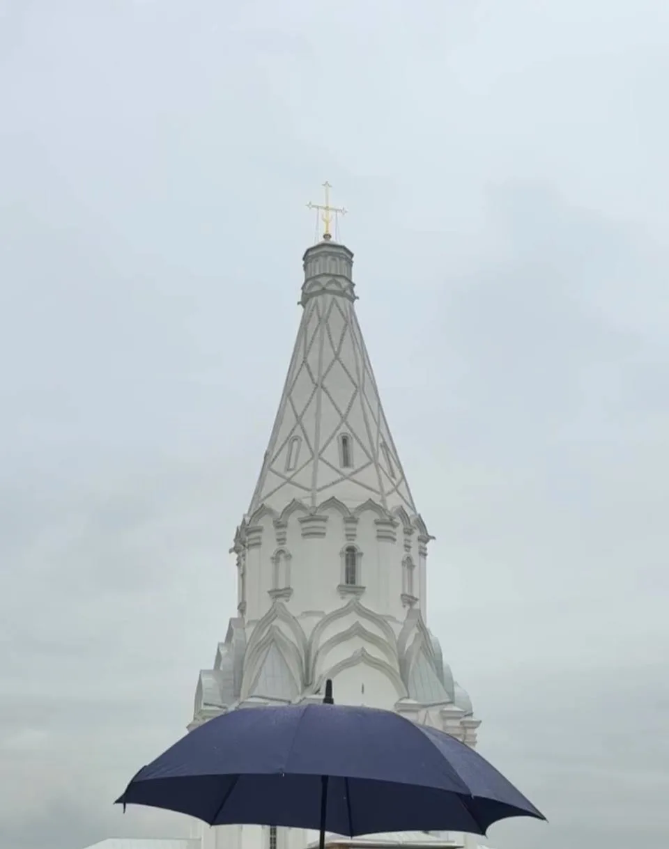 Цвет дня