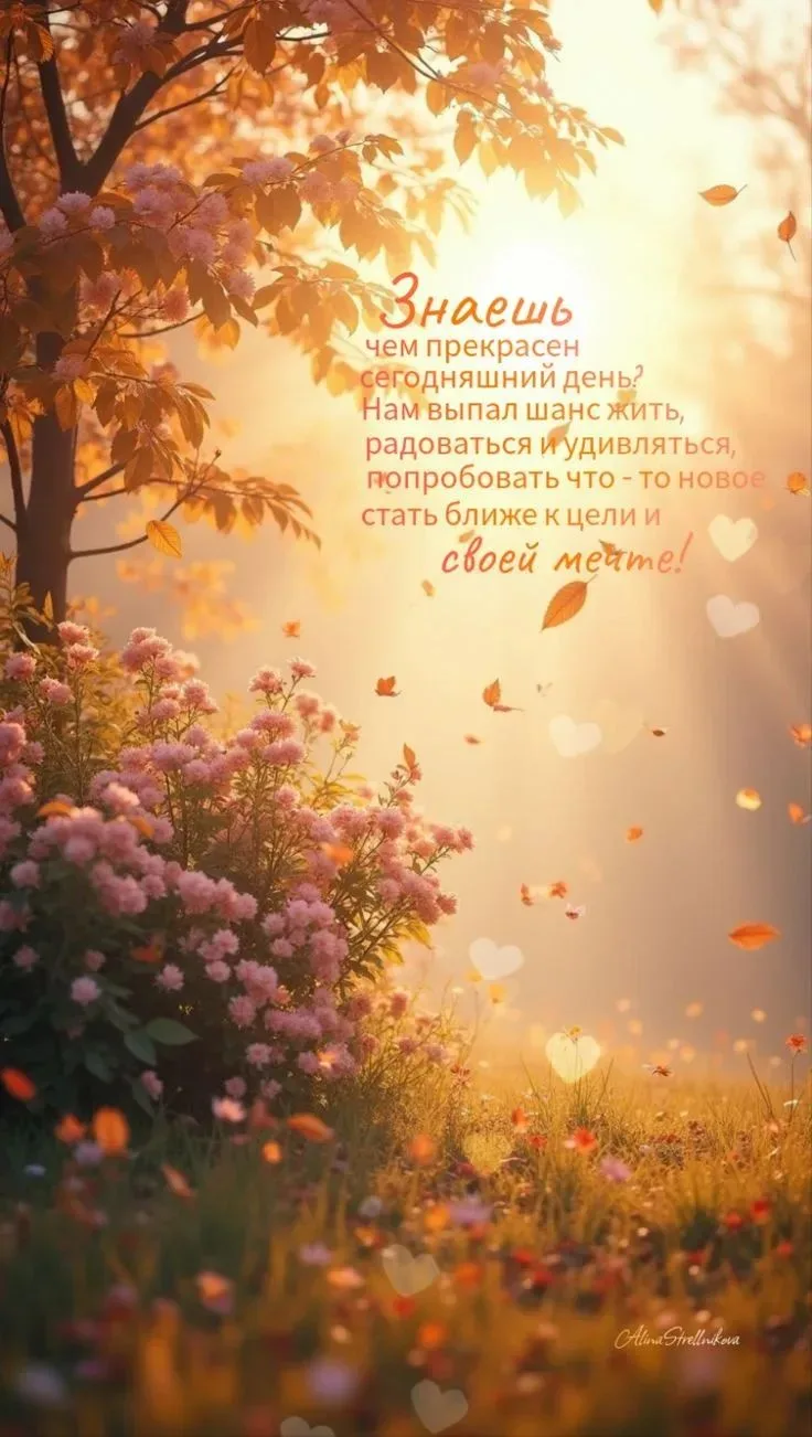 Послание 💌 от Вселенной 🌌