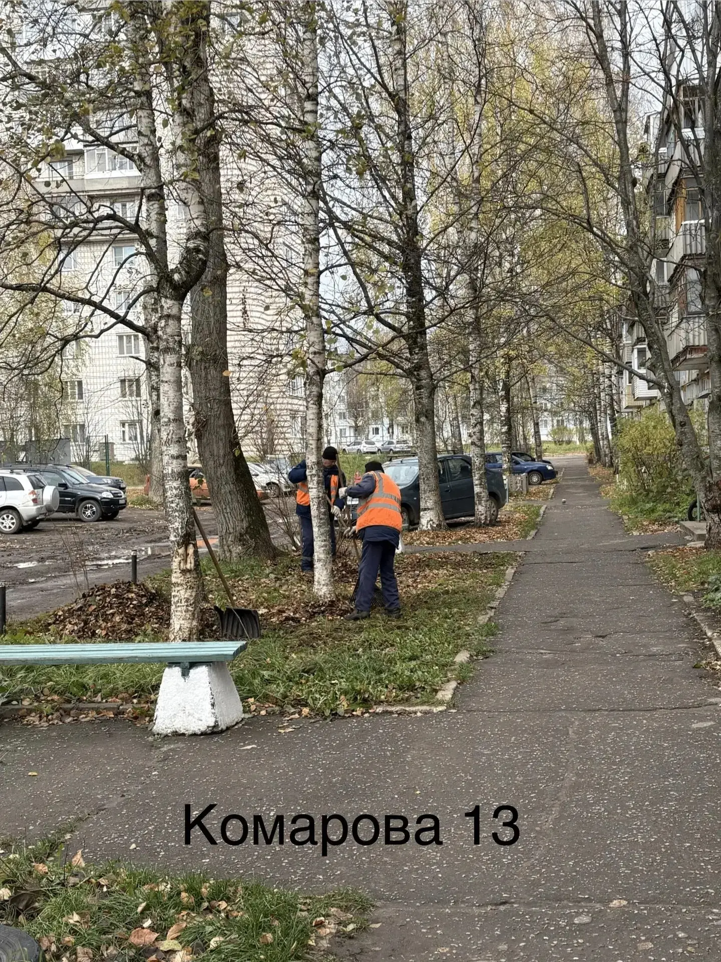 🍁Осенние работы для вашего комфорта!