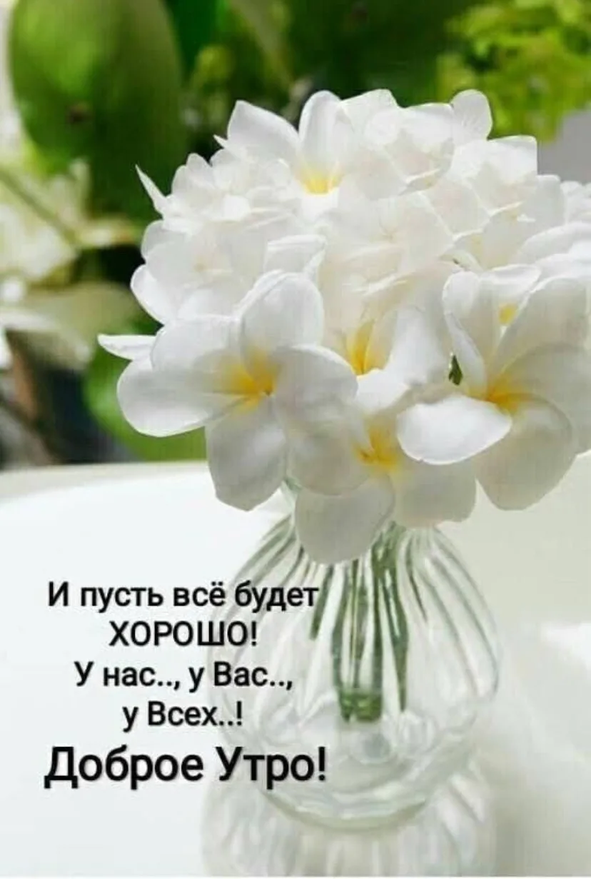 🌺🌺🌺