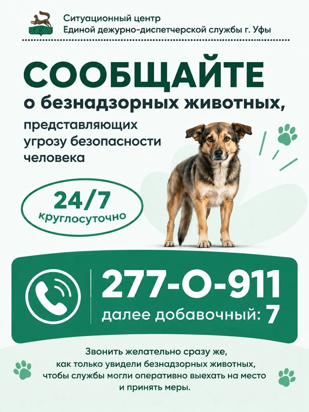 Сообщайте о безнадзорных животных