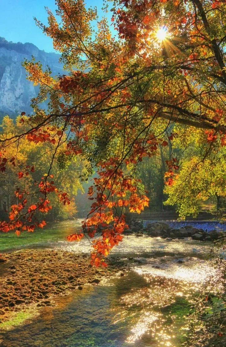 Говорите со мной, говорите,
