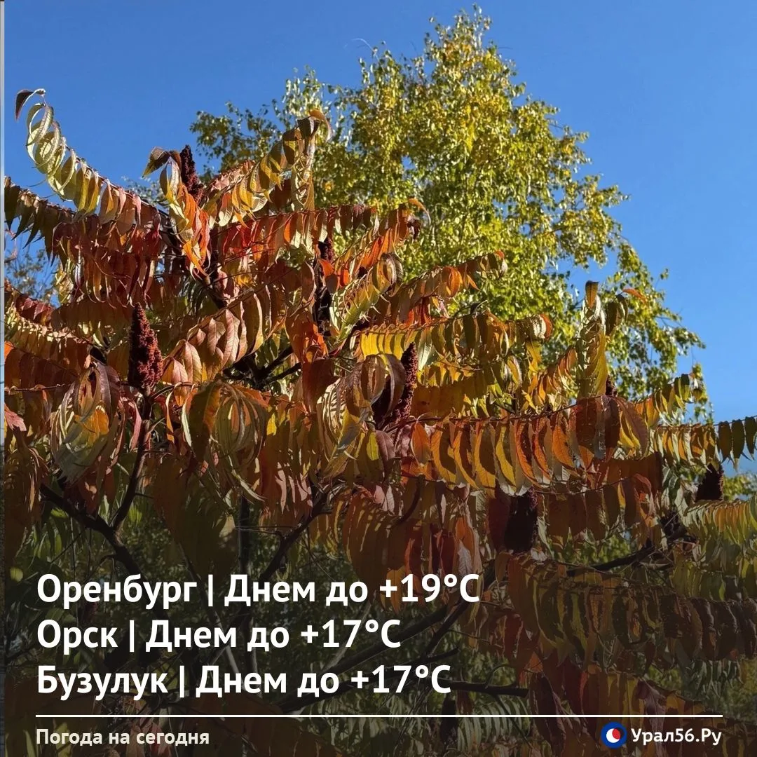 Доброе утро 🌞
