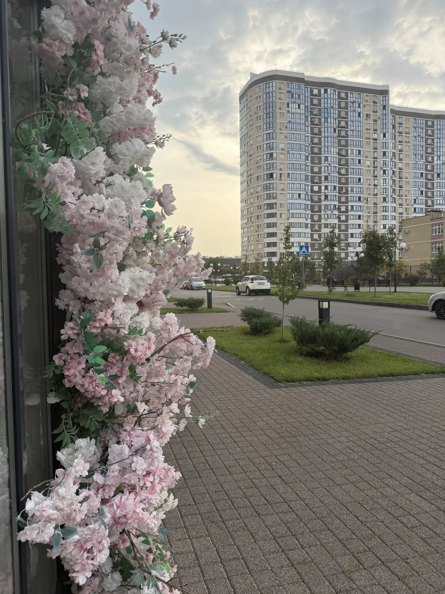 Доброе и прекрасное утро ☀️