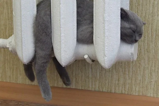 Соседи, отопление дали? Если да, то жмите ❤️. Если нет, то 🖤