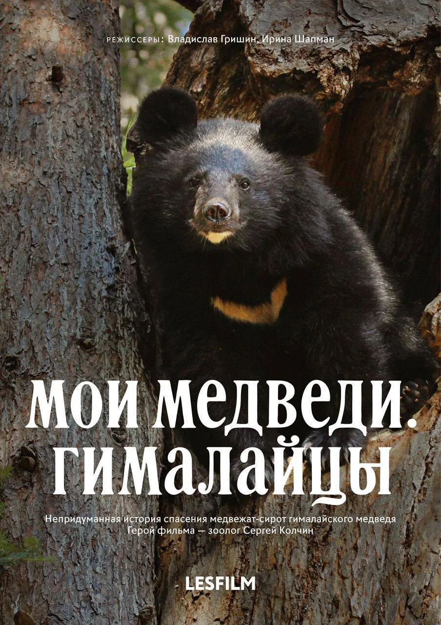 ❗️Уже сегодня! Первый фильм фестиваля ЭкоЧашка в Сочи.