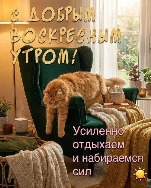 Понравилась открытка? Оставьте, пожалуйста, реакцию 🩷