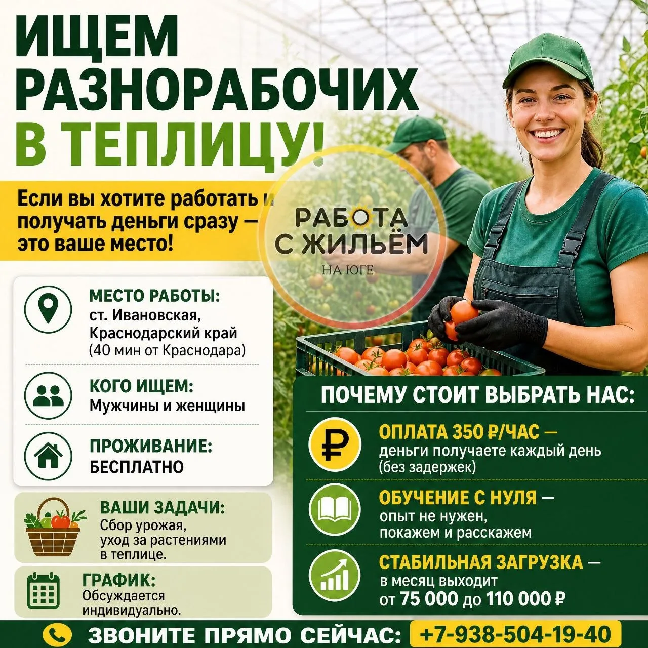 Ищем разнорабочих в теплицу!