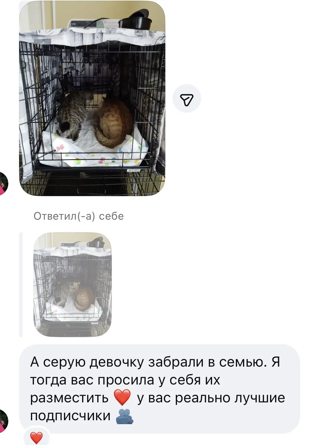 ‼️У нас была еще вот такая история