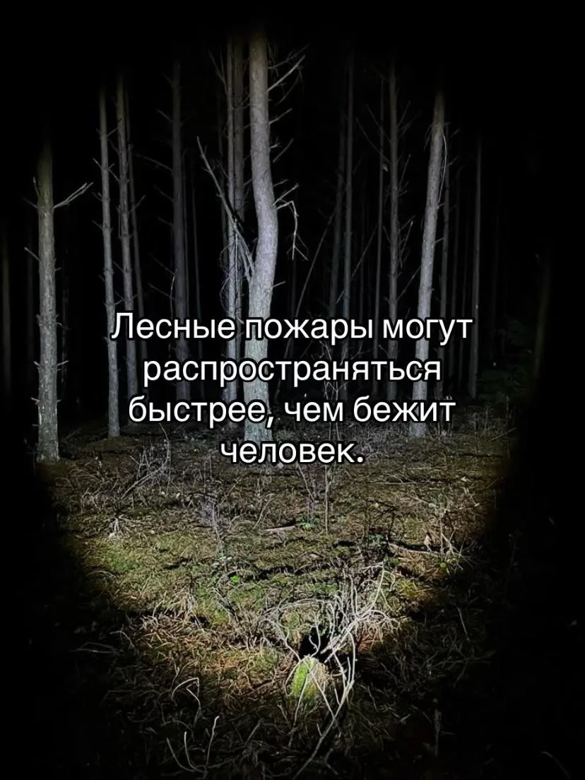 Лесные пожары страшные