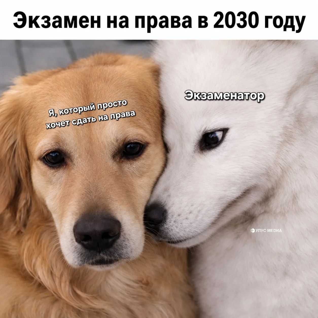 Экзамен на права в России станет СЛОЖНЕЕ — с 1 марта 2027 года теоретическую часть нужн...