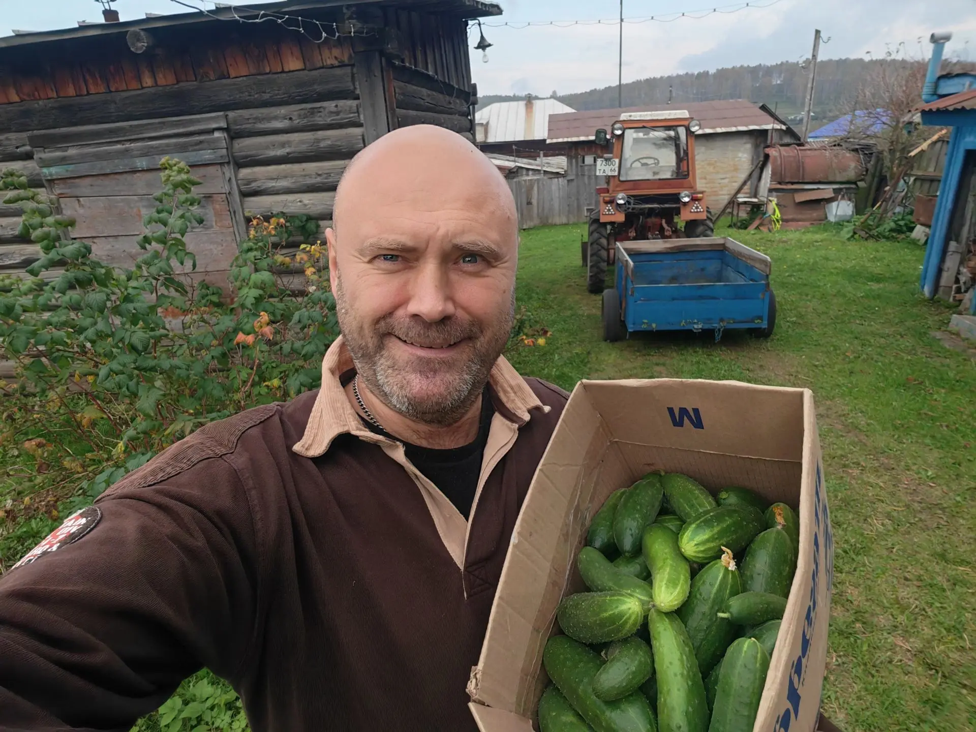 Сезон огурцов закрыт!) ☘️
